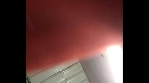Nghịch bướm cô người yêu