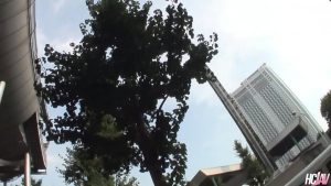 Gạ con hàng ra bãi đất chồng khoe lồn quá đã